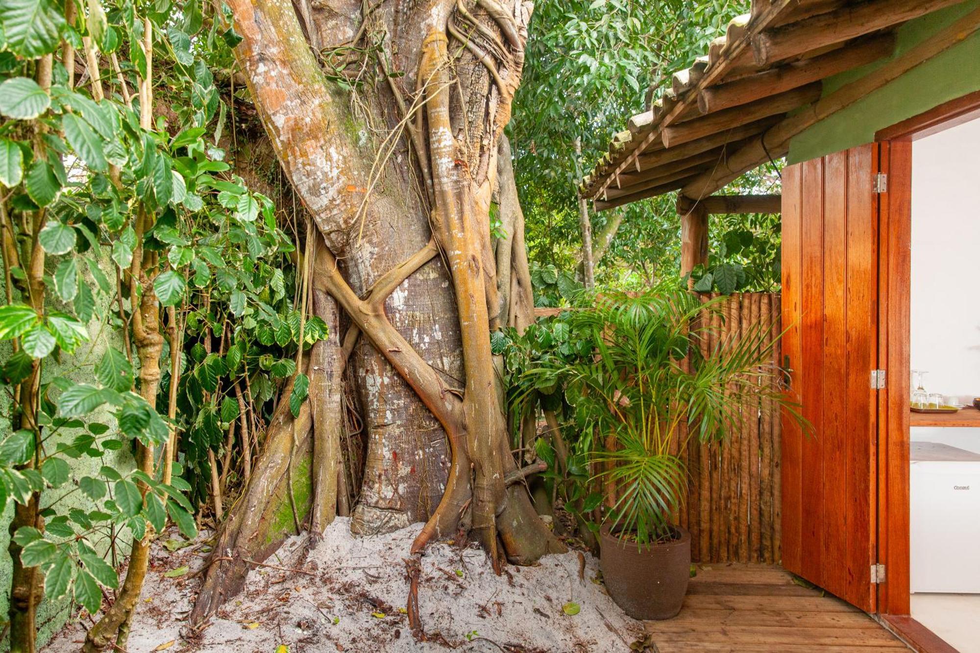 Pousada Mangue Sereno Caraíva Exterior foto